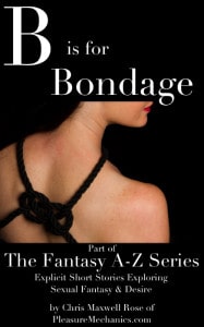 BisforBondageCover