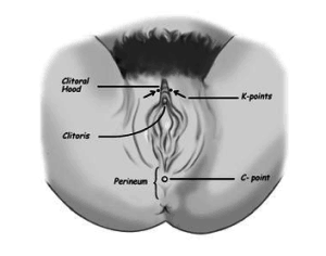 Kivin Method of Cunnilingus