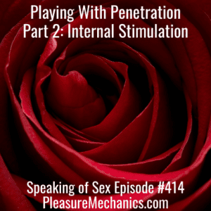 Playing With Penetration Part 2: Internal Stimulation