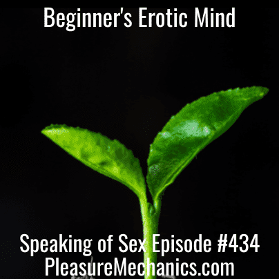 Beginner’s Erotic Mind